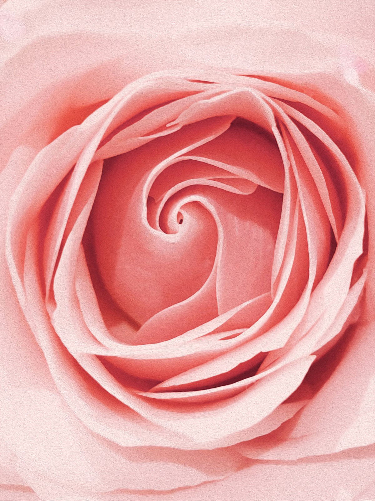 Flower Essences & Vibrational Remedies